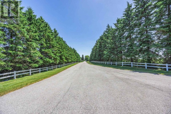 5977 13th Line, New Tecumseth, ON L0L1L0 Photo 4