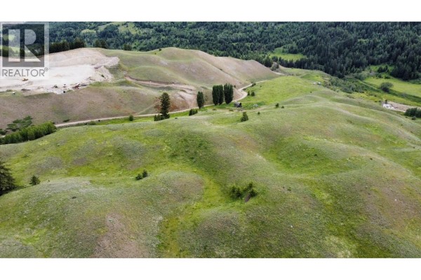 5988 3 Highway, Bridesville, BC V0H1Y0 Photo 3