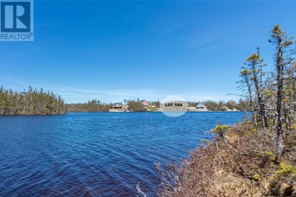 59a Inner Pond North Road, Ocean Pond, NL A0B3K0 Photo 4