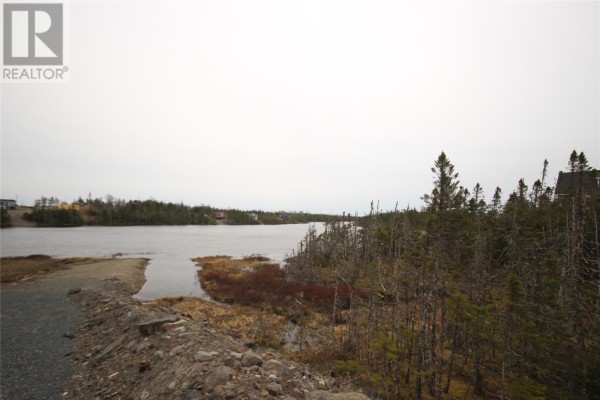 59a Inner Pond North Road, Ocean Pond, NL A0B3K0 Photo 5
