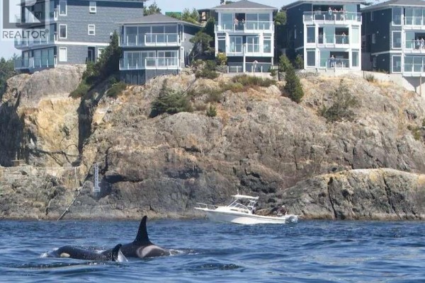 5c 1000 Sookepoint Pl, Sooke, BC, photo 3
