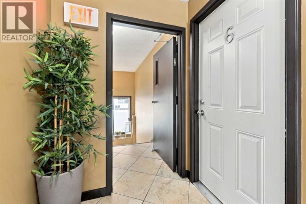 Interior hallway with a potted plant, fire extinguisher, and apartment doors. - 6, 1905 11 Avenue Sw, Calgary