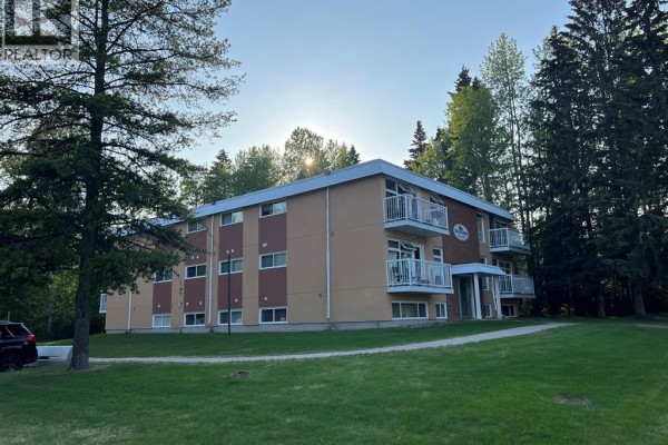 Exterior view of Brookside apartments from the side with trees and sunlight. - 6, 506 41 Street, Edson
