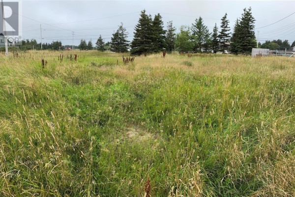 6 - 10 Water Street, Stephenville Crossing, NL A0N2C0 Photo 4
