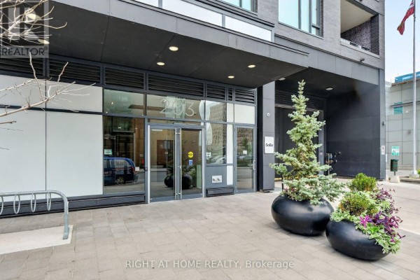 Building entrance with glass doors and planters with evergreen trees. - 6 - 203 Catherine Street, Ottawa