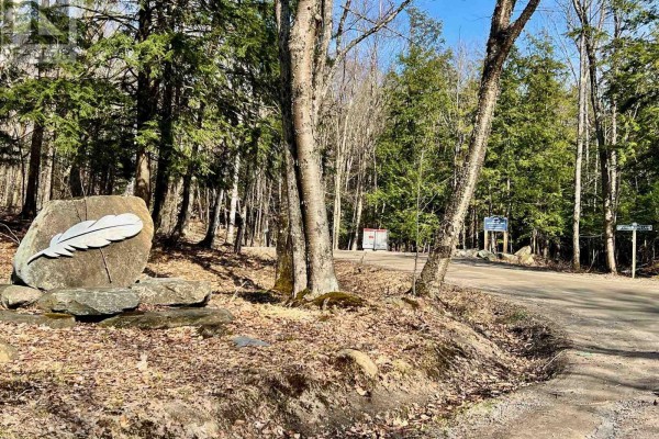 6 - 22 Gryffin Bluffs Lane, Huntsville, ON P0B1M0 Photo 4