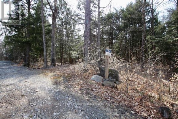 6 - 22 Gryffin Bluffs Lane, Huntsville, ON P0B1M0 Photo 5