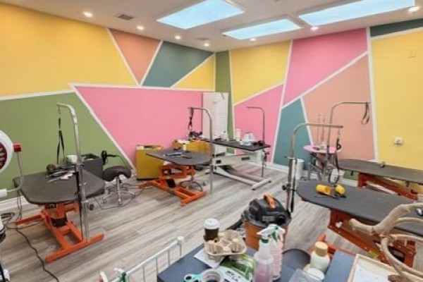 6 - 420 Hwy 7 E, Richmond Hill, ON L4B3K2 Photo 4