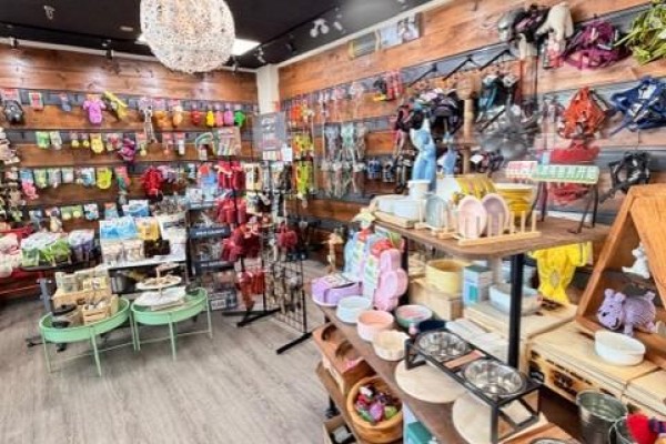 6 - 420 Hwy 7 E, Richmond Hill, ON L4B3K2 Photo 5