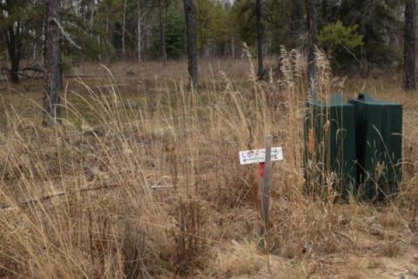 6-3 Lot 1.20 Acre, Hudson Bay Rm No  394, SK, photo 2