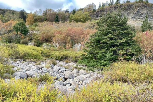 6-8 Old Road N, Salmon Cove, NL A0A3S0 Photo 4