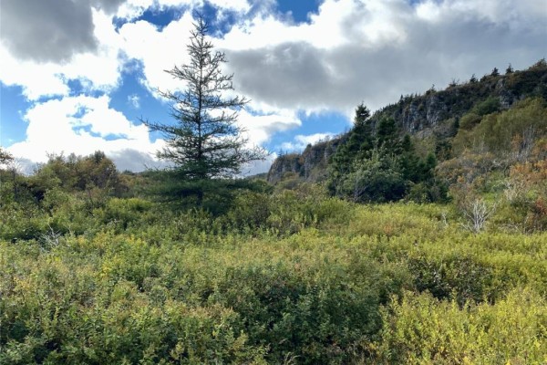 6-8 Old Road N, Salmon Cove, NL A0A3S0 Photo 5