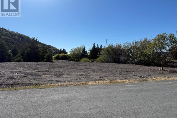 Cleared lot with dark soil, gravel, trees, and a bright blue sky. - 6-8 Tunis Street, Placentia