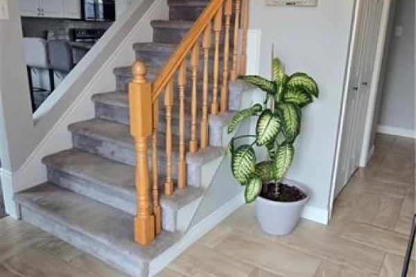 6 Braden Street, Riverview, NB, photo 3