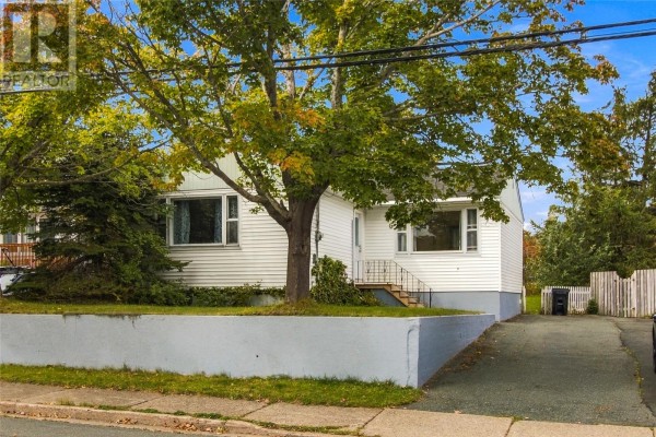 Exterior of a white house with a large tree in the front yard. - 6 Cherry Hill Road, St  John S