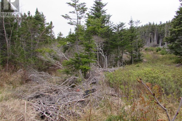 6 Country Lane, Conception Harbour, NL, photo 3