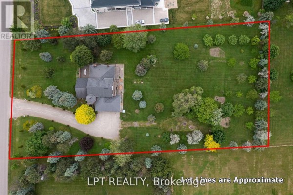 6 Fenton Way, Brampton, ON, photo 3