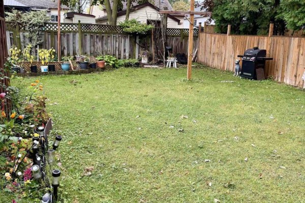 Backyard with a wooden fence, green grass, a barbecue, and a clothesline. - 6 Glen Avenue, St  Catharines