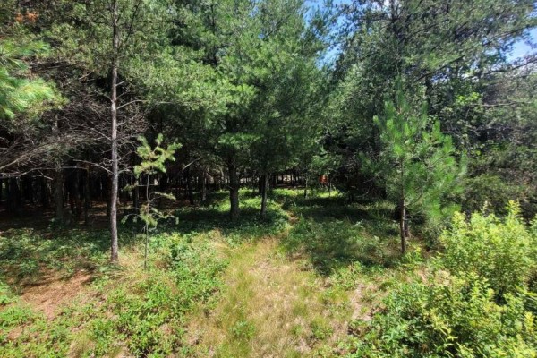 6 Grey Street, Sables Spanish Rivers, ON, photo 2