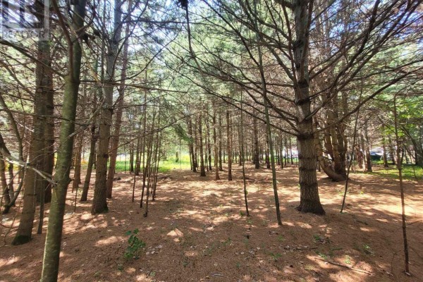 6 Grey Street, Sables Spanish Rivers, ON, photo 3