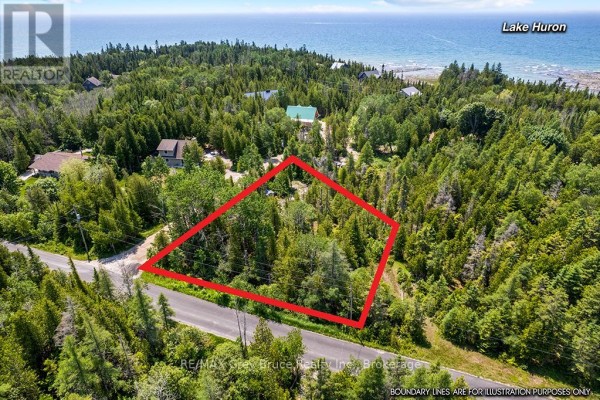 View from road of wooded property lot with red outline and surrounding trees. - 6 Island View Road, Northern Bruce Peninsula