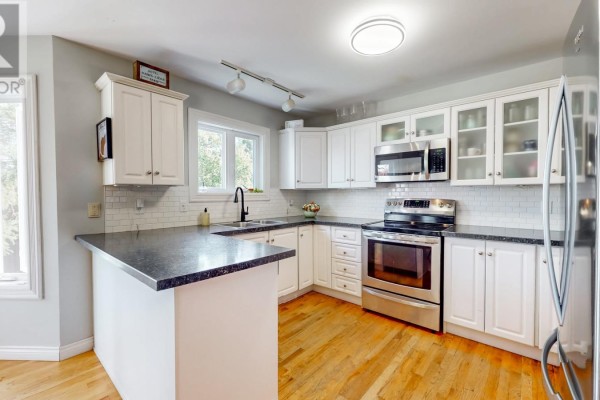 6 Point Leamington Street, St  John S, NL, photo 2