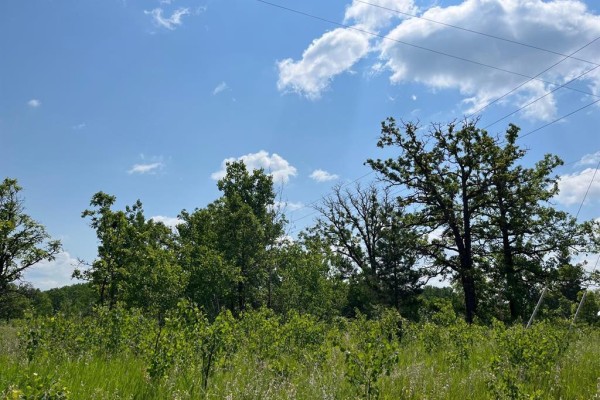 Green trees and brush with white clouds in a blue sky and power lines overhead. - 6 Pr 302 Highway S, Ste Anne Rm