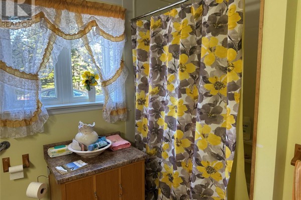 Utility room - 6 Quarter's Lane, Carbonear, NL A1Y1A9 Photo 4