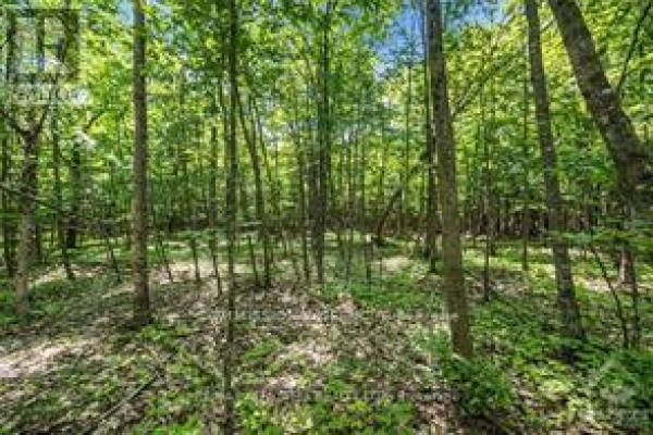 6 Rock Forest Road, Ottawa, ON K0A1T0 Photo 3