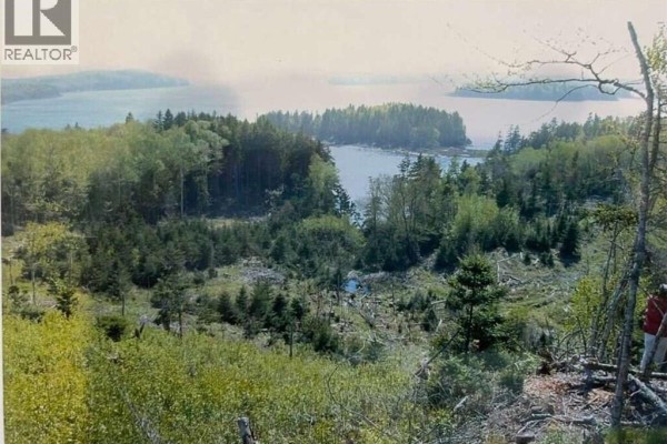 6 Roys Lane, Pennfield, NB E5H1R6 Photo 3