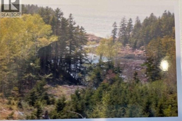 6 Roys Lane, Pennfield, NB E5H1R6 Photo 5