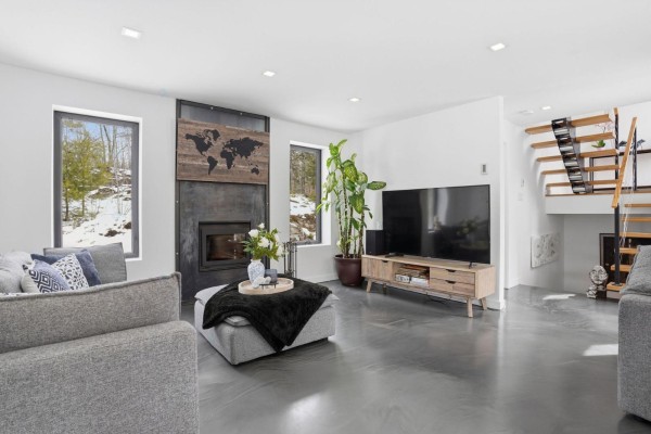 Interior entrance with a black front door, gray sofa, and a potted plant. - 6 Rue Du Butor, Val Des Monts