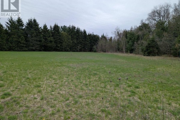 6 Tioga Boulevard, Adjala Tosorontio, ON L0M1J0 Photo 2
