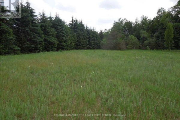 6 Tioga Boulevard, Adjala Tosorontio, ON L0M1J0 Photo 3
