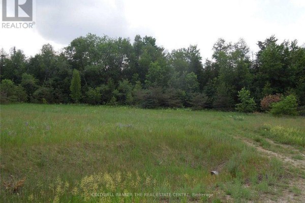 6 Tioga Boulevard, Adjala Tosorontio, ON L0M1J0 Photo 5
