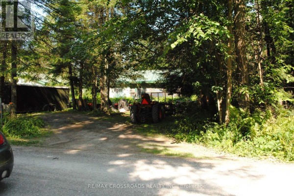 60 Brook Road, Kawartha Lakes, ON K0M1N0 Photo 4