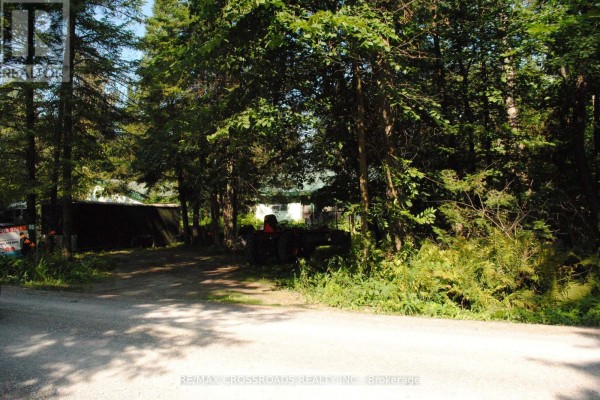 60 Brook Road, Kawartha Lakes, ON K0M1N0 Photo 5