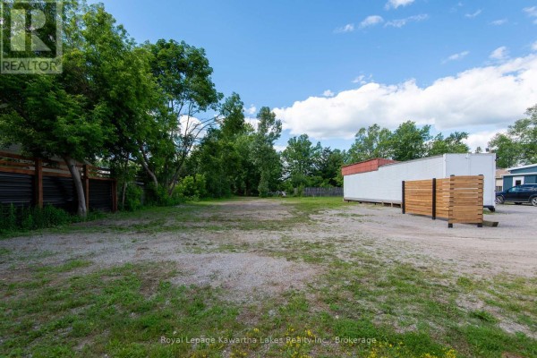 60 George Street W, Kawartha Lakes, ON K9V5H9 Photo 2