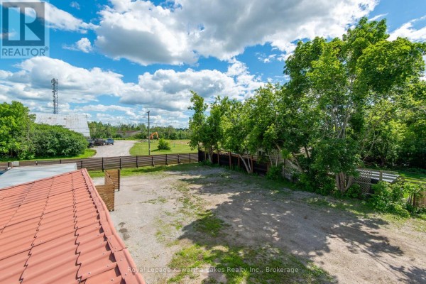 60 George Street W, Kawartha Lakes, ON K9V5H9 Photo 3