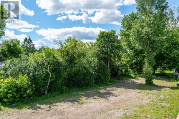 60 George Street W, Kawartha Lakes, ON K9V5H9 Photo 5
