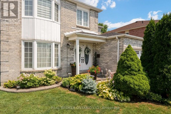 Kitchen - 60 Ravenswood Drive, Brampton, ON L6Y3Z4 Photo 3