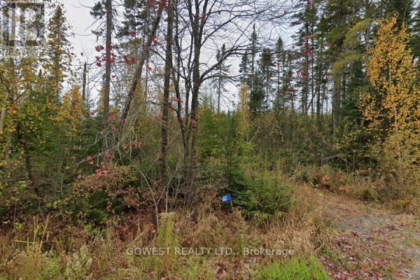 60 Stahls Road, Huntsville, ON P1H2J4 Photo 2