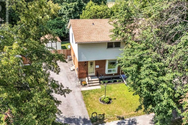 Aerial view of the house surrounded by mature trees, showing the roof and driveway. - 60 Tilipe Road, London East