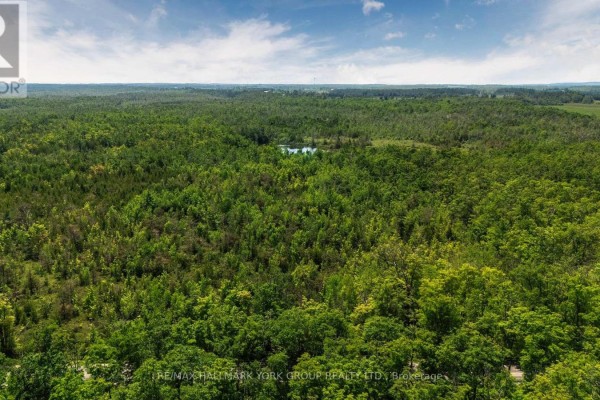 600 14th Line South, Oro Medonte, ON L3V6H1 Photo 5
