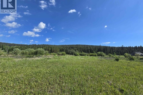 6003 Horse Lake Road, 100 Mile House, BC V0K2E3 Photo 4