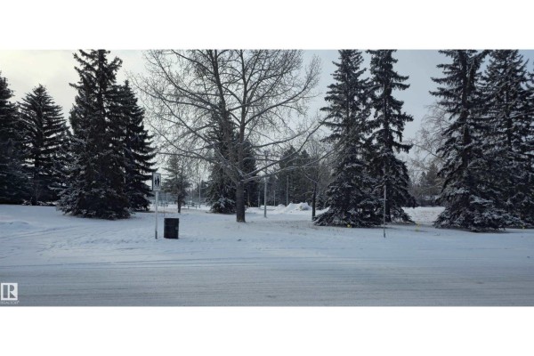 6004 19a Av Nw Nw, Edmonton, AB T6L1L8 Photo 5