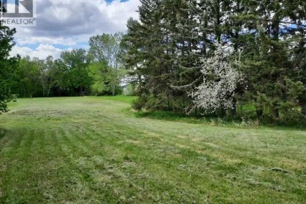 602, 606, 610, 614, 618 5 Avenue, Elnora, AB T0M0Y0 Photo 2
