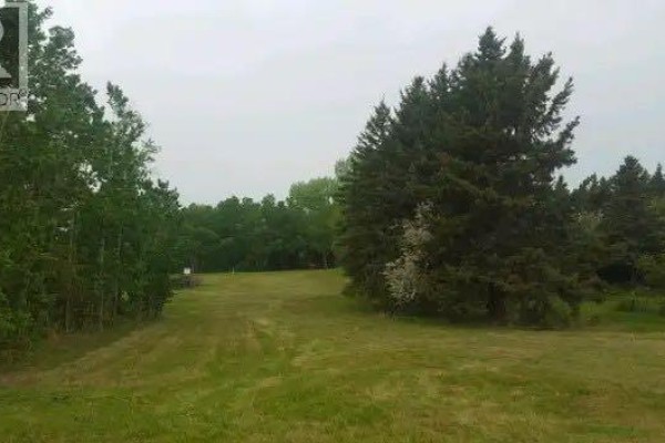 602, 606, 610, 614, 618 5 Avenue, Elnora, AB T0M0Y0 Photo 3