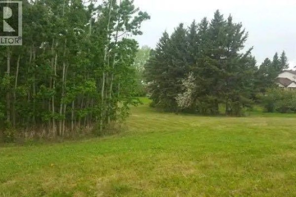 602, 606, 610, 614, 618 5 Avenue, Elnora, AB T0M0Y0 Photo 4