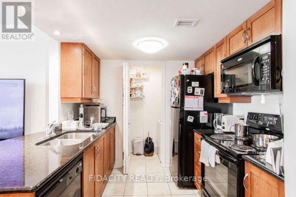 602 - 314 Central Park Drive, Ottawa, ON K2C0R2 Photo 3